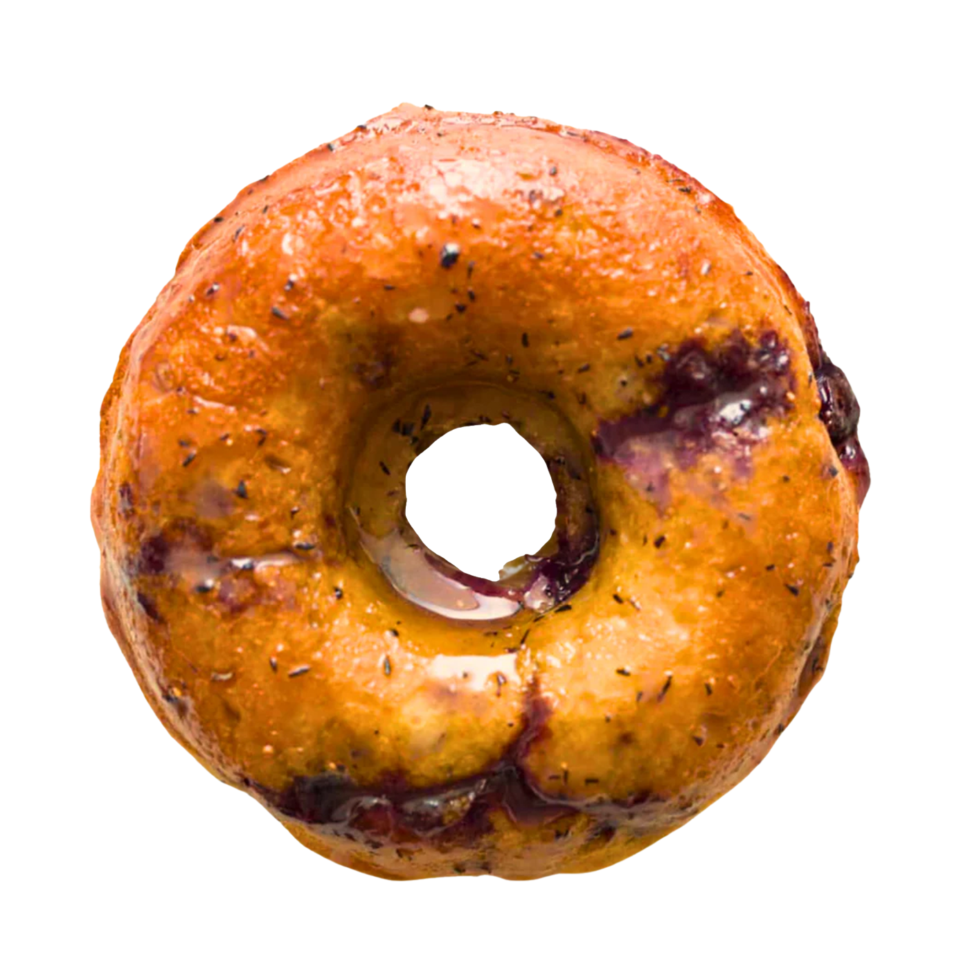 Blueberry Donut